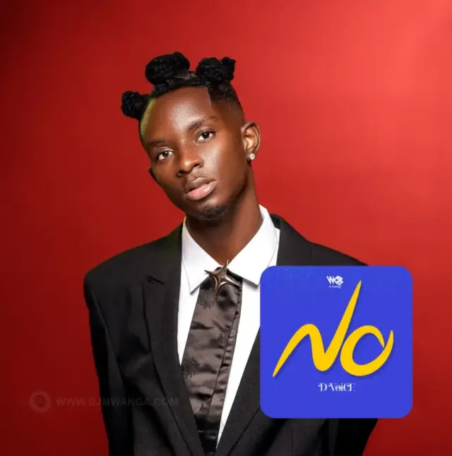 D Voice – No