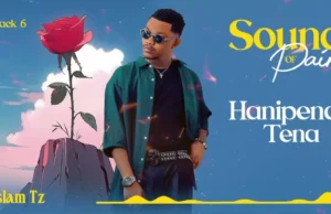 Aslam Tz – Hanipendi Tena (Acoustic) Aslam Tz – Hanipendi Tena (Acoustic)