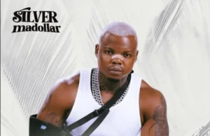 Silver Madollar – Harmonize Unanisikia Silver Madollar – Harmonize Unanisikia